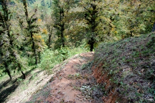  Sentieri di montagna 